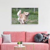 Golden Retriever met 1 Canvas Afdruk (Insitu (Woonkamer))