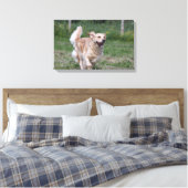 Golden Retriever met 1 Canvas Afdruk (Insitu (Slaapkamer))