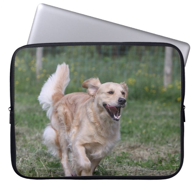 Golden Retriever met 1 Laptop Sleeve (Voorkant)