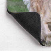 Golden Retriever met 1 Muismat (Hoek)