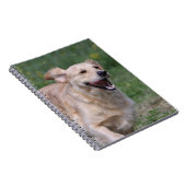 Golden Retriever met 1 Notitieboek (Rechterzijde)