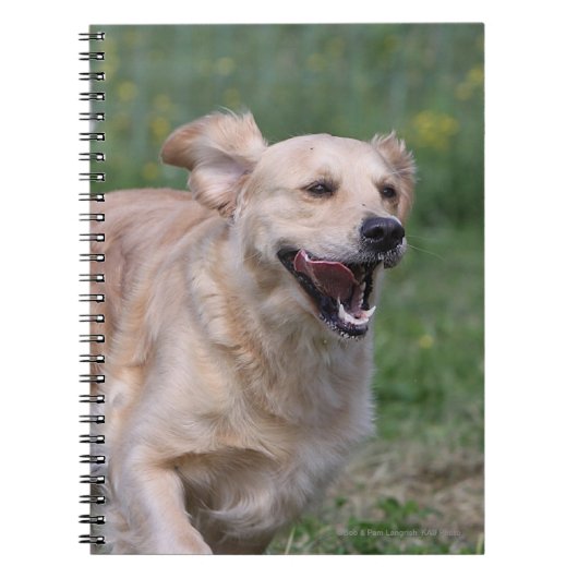 Golden Retriever met 1 Notitieboek (Voorkant)