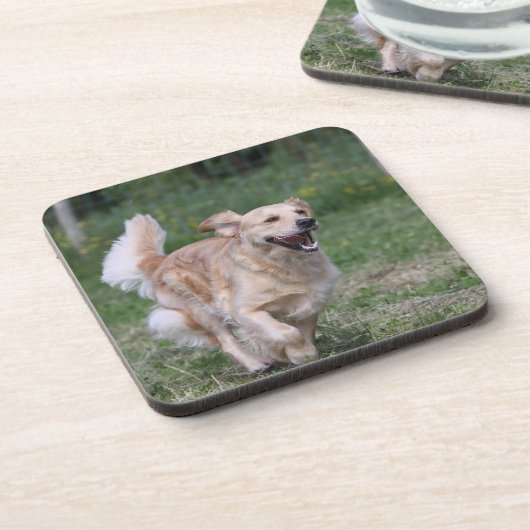 Golden Retriever met 1 Onderzetter (Linkerzijde)