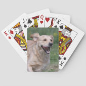 Golden Retriever met 1 Pokerkaarten (Achterkant)