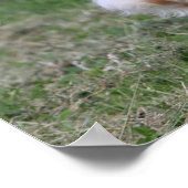 Golden Retriever met 1 Poster (Hoek)