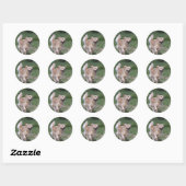 Golden Retriever met 1 Ronde Sticker (Vel)