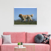 Golden Retriever met 3 Canvas Afdruk (Insitu (Woonkamer))