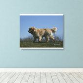 Golden Retriever met 3 Canvas Afdruk (Insitu (Houten vloer))