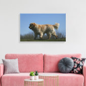 Golden Retriever met 3 Canvas Afdruk (Insitu (Woonkamer))
