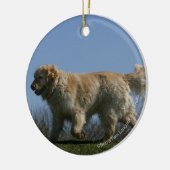 Golden Retriever met 3 Keramisch Ornament (Links)