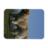 Golden Retriever met 3 Magneet (Horizontaal)