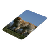 Golden Retriever met 3 Magneet (Linkerzijde)