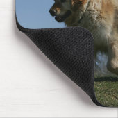 Golden Retriever met 3 Muismat (Hoek)