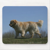 Golden Retriever met 3 Muismat (Voorkant)