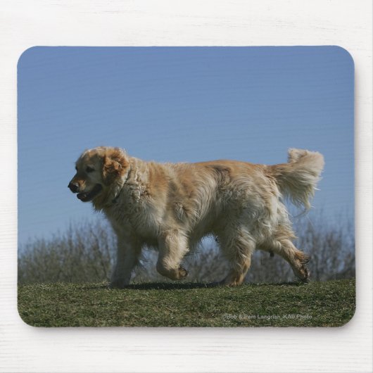 Golden Retriever met 3 Muismat (Voorkant)