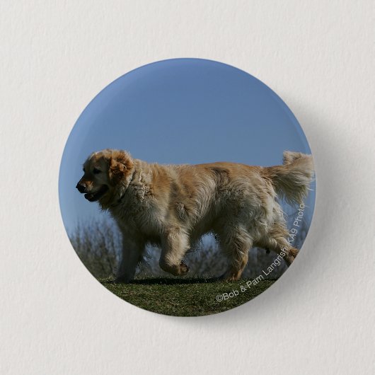 Golden Retriever met 3 Ronde Button 5,7 Cm (Voorkant)