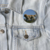 Golden Retriever met 3 Ronde Button 5,7 Cm (In situ)