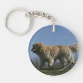 Golden Retriever met 3 Sleutelhanger (Voorkant)