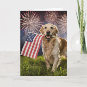 Golden Retriever met Amerikaanse vlag Kaart
