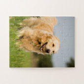 Golden Retriever met Ball Legpuzzel (Horizontaal)