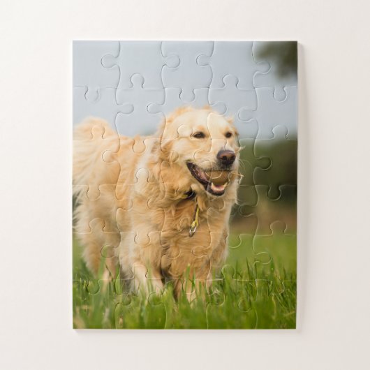 Golden Retriever met Ball Legpuzzel (Verticaal)