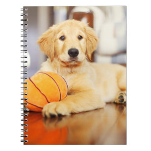 Golden Retriever Met Basketbal Speelgoed Notitieboek
