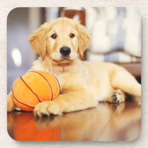 Golden Retriever met Basketball Speelgoed Bier Onderzetter