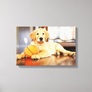 Golden Retriever met Basketball Speelgoed Canvas Afdruk