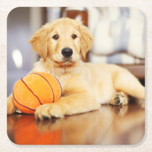 Golden Retriever met Basketball Speelgoed Kartonnen Onderzetters