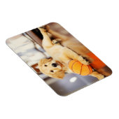 Golden Retriever met Basketball Speelgoed Magneet (Rechterzijde)