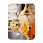 Golden Retriever met Basketball Speelgoed Magneet (Verticaal)