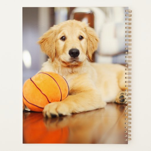 Golden Retriever met Basketball Speelgoed Planner (Achterkant)