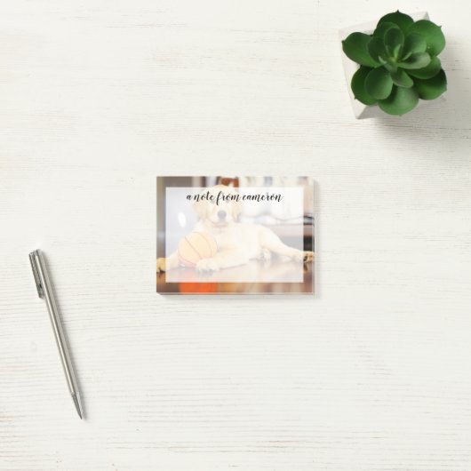 Golden Retriever met Basketball Speelgoed Post-it® Notes (Kantoor)