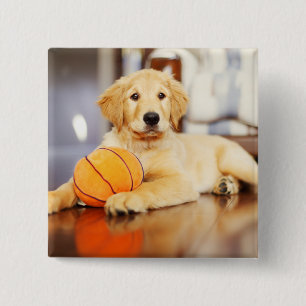 Golden Retriever met Basketball Speelgoed Vierkante Button 5,1 Cm