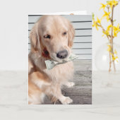 Golden Retriever met Birthday Money Kaart (Gele Bloem)