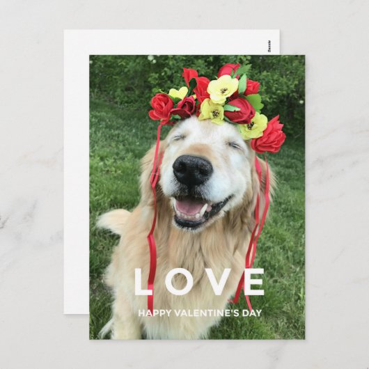 Golden Retriever met bloeiende Valentijnsdag Feestdagenkaart (Voorkant / Achterkant)
