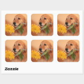 Golden Retriever met bloemige Stickers (Vel)