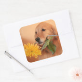 Golden Retriever met bloemige Stickers (Envelop)