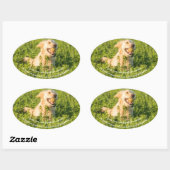 Golden Retriever met Citaat Ovale Sticker (Vel)