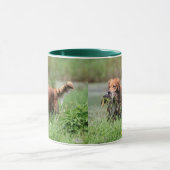 Golden Retriever met Duck-Mok Mok (Midden)