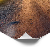 Golden Retriever met een Amerikaanse vlag Perfect Poster (Hoek)