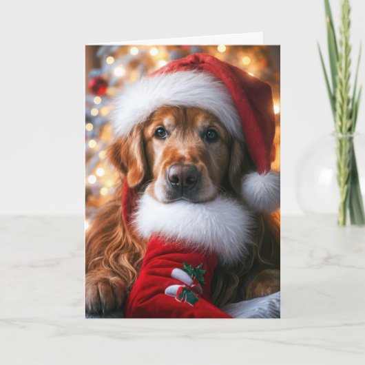 Golden Retriever met een kerstkous Feestdagen Kaart (Voorkant)