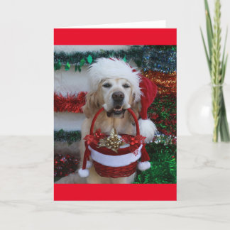 Golden Retriever met een kerstmand Feestdagen Kaart