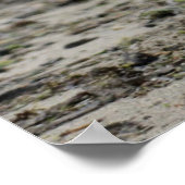 Golden Retriever met een kruk in de mond Poster (Hoek)