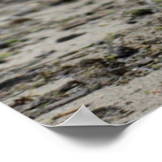 Golden Retriever met een kruk in de mond Poster (Hoek)