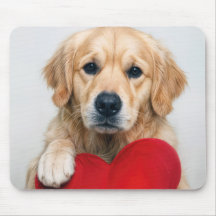 Golden Retriever Met een Rode Hartkussen