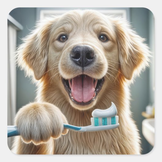 Golden Retriever met een tandenborstel Vierkante Sticker (Voorkant)