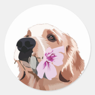 Golden Retriever met een ventilator Ronde Sticker