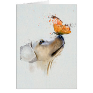 Golden Retriever met een vlinder op zijn neus