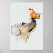 Golden Retriever met een vlinder op zijn neus Poster (Voorkant)
